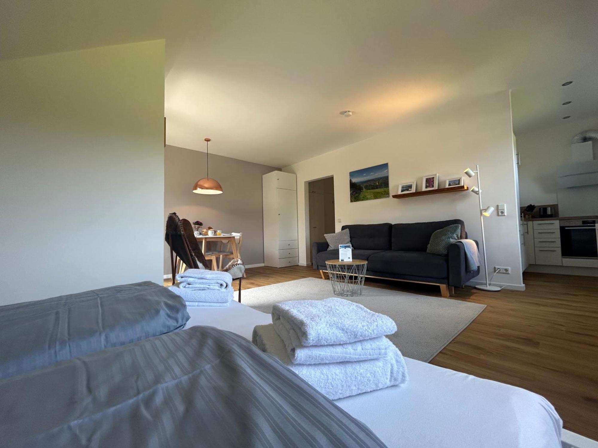 Hahnenklee Charme - Moderne Neue Ferienwohnung Mit 2 Balkons Гослар Екстериор снимка
